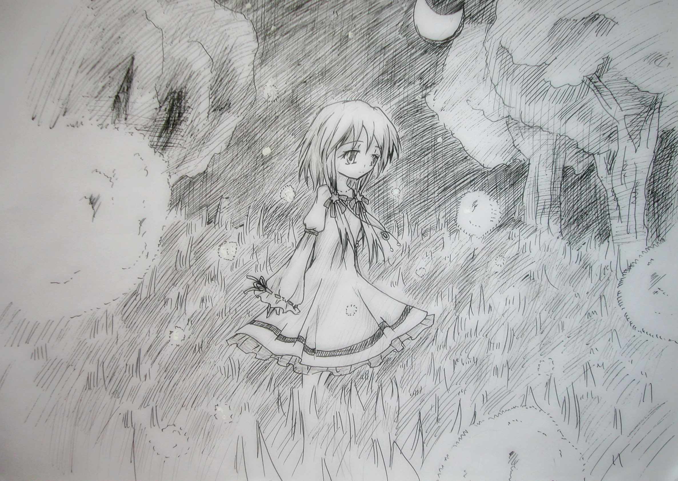 DSCN5560.JPG DSCN5560.JPG