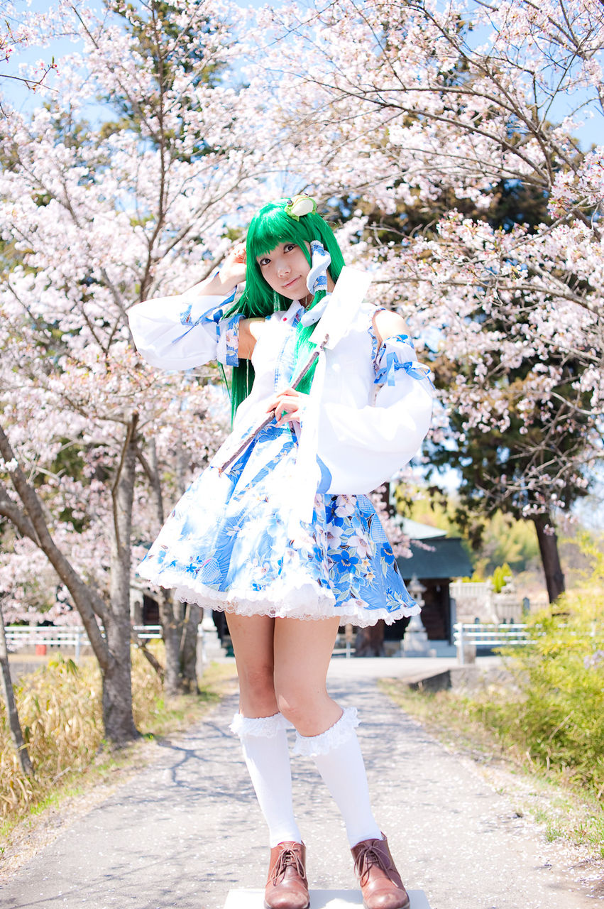 Sanae_fund_001.jpg