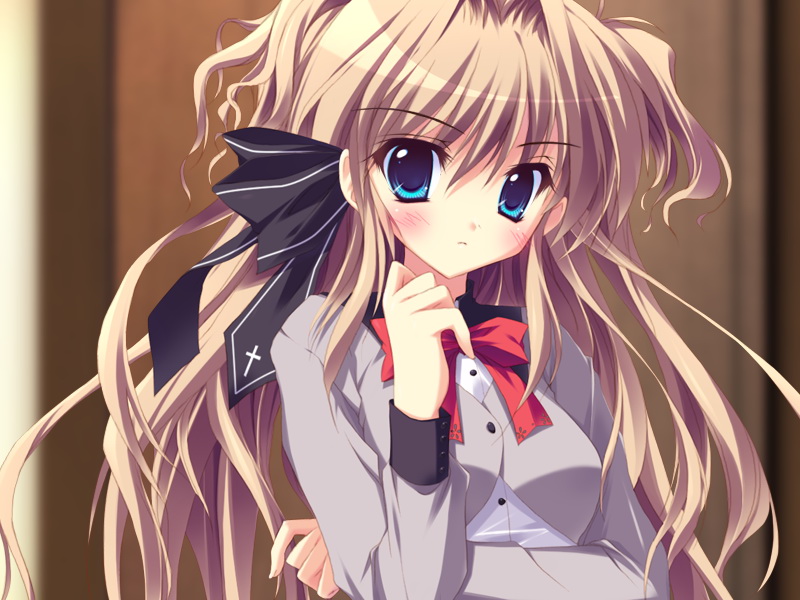 复件 bg_img164b.jpg