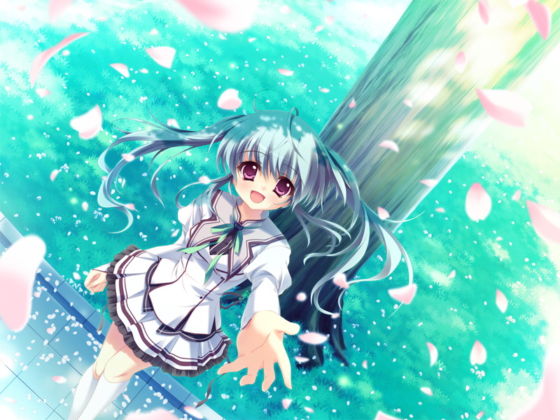 复件 event_sk11a.jpg