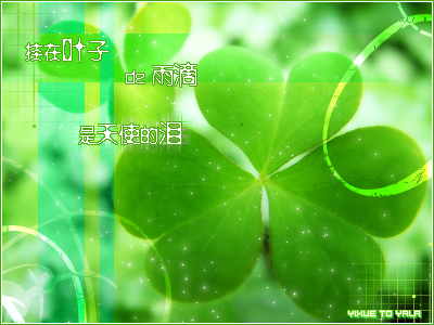 叶泪.jpg 叶泪.jpg