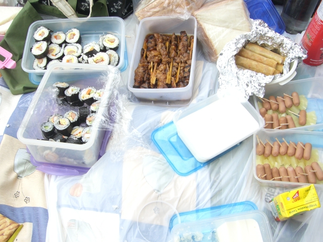 picnic 002.jpg