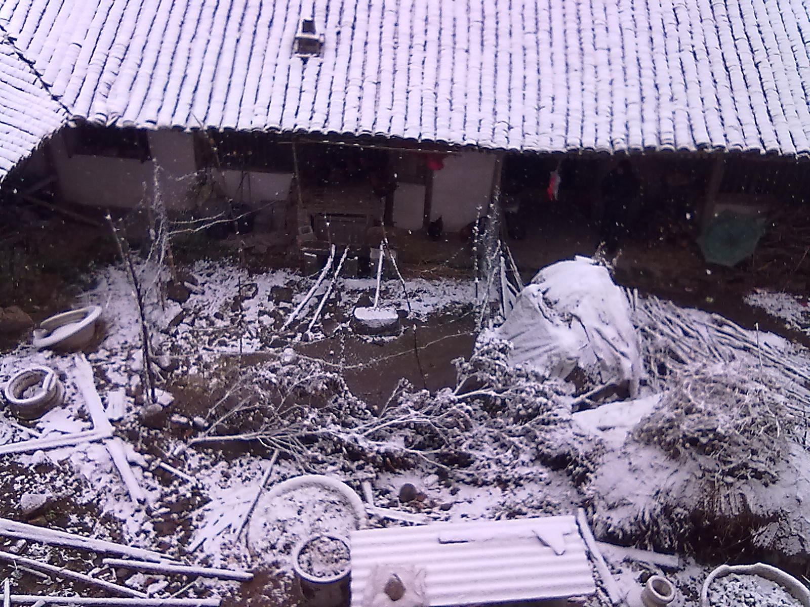 20120105127.jpg 20120105127.jpg