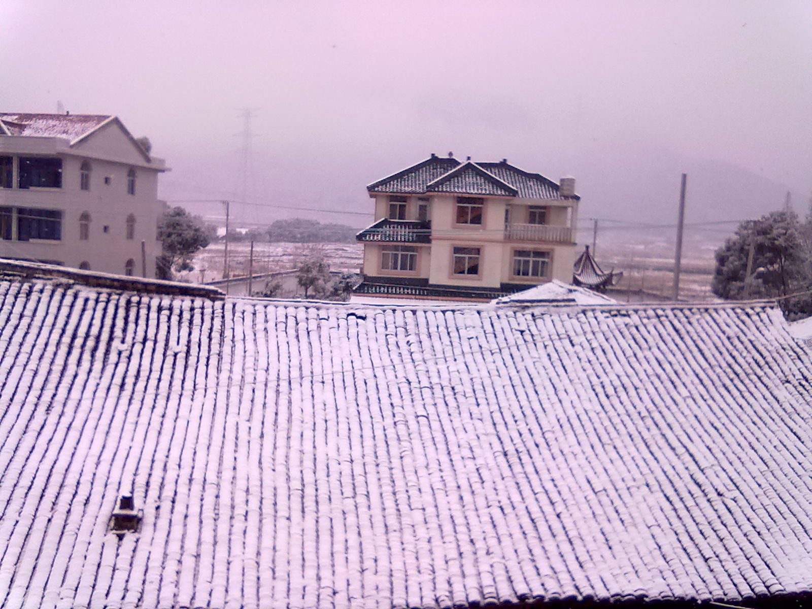 20120105129.jpg 20120105129.jpg