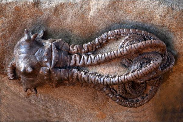 …触【和谐】手？