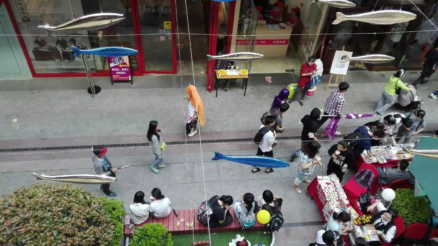 小埋一只（两天内我就看见4只小埋）