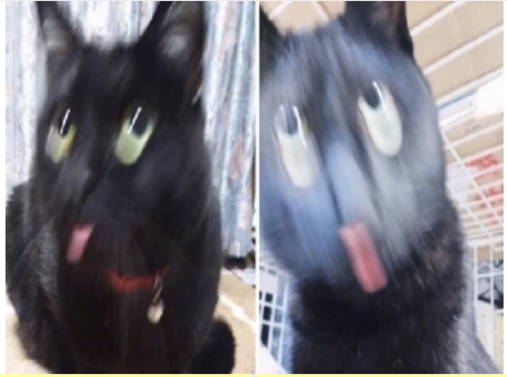 螢幕快照 2021-08-19 上午12.04.44.jpg