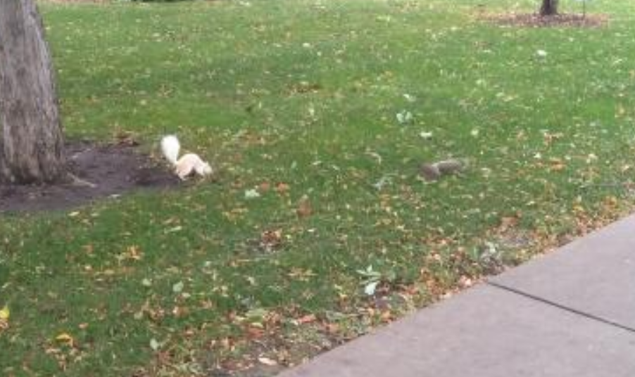 Screenshot 2021-09-18 140513.png