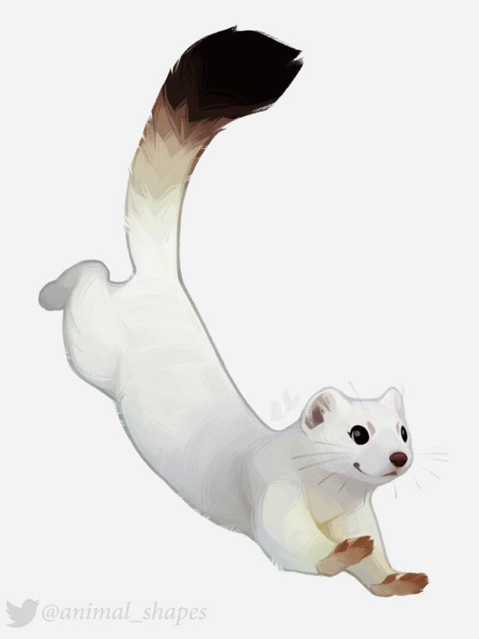 捕获.PNG 捕获.PNG