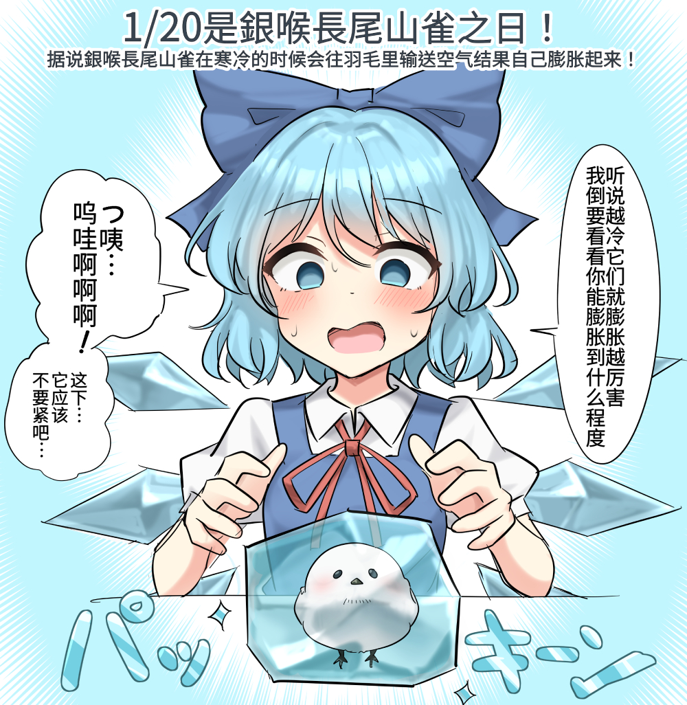 120はシマエナガの日.jpg