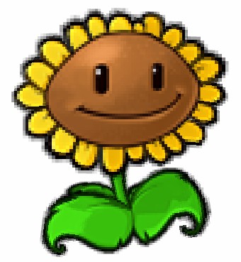 DaSunflower.jpg