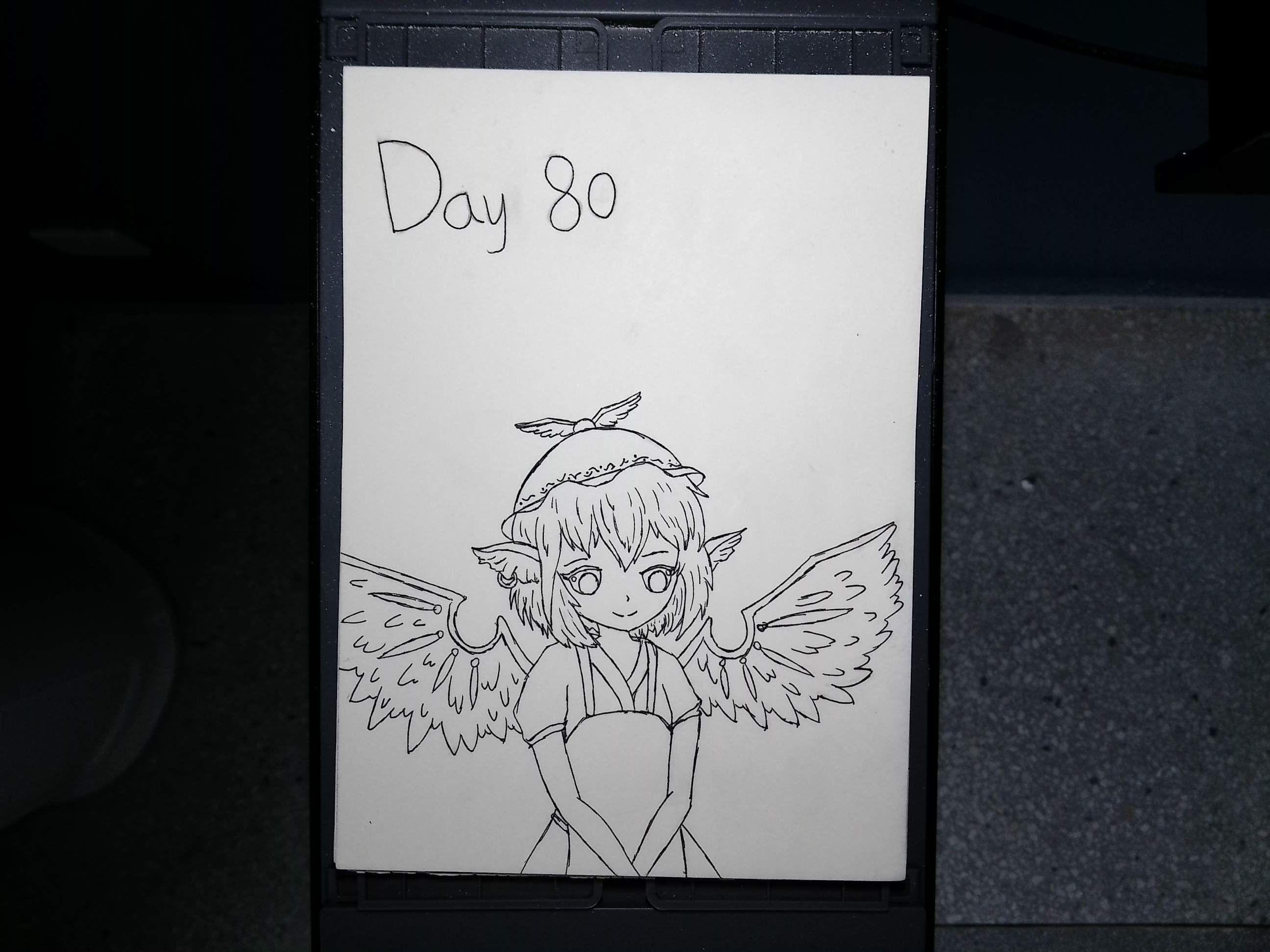 2.png