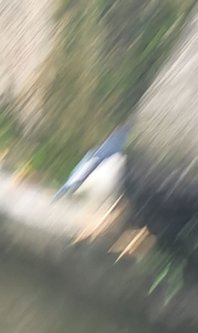 68088.jpg