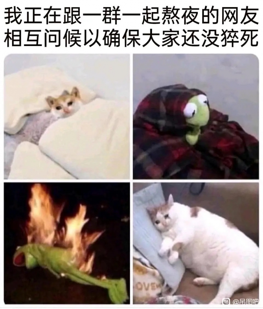 image.jpeg