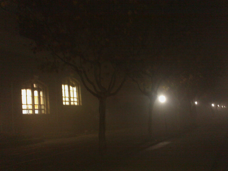 01迷雾的图书馆